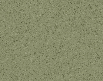 [200111112_20] Mipolam Affinity - 4427 Pine Forest